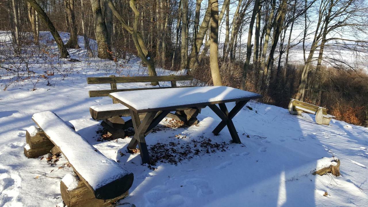 Ferienwohnung Bleicherode Bagian luar foto