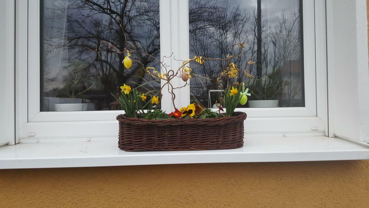Ferienwohnung Bleicherode Bagian luar foto